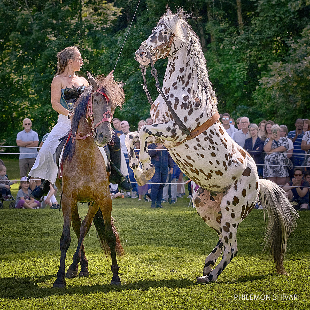 Rencontre avec la princesse des Rohirrim